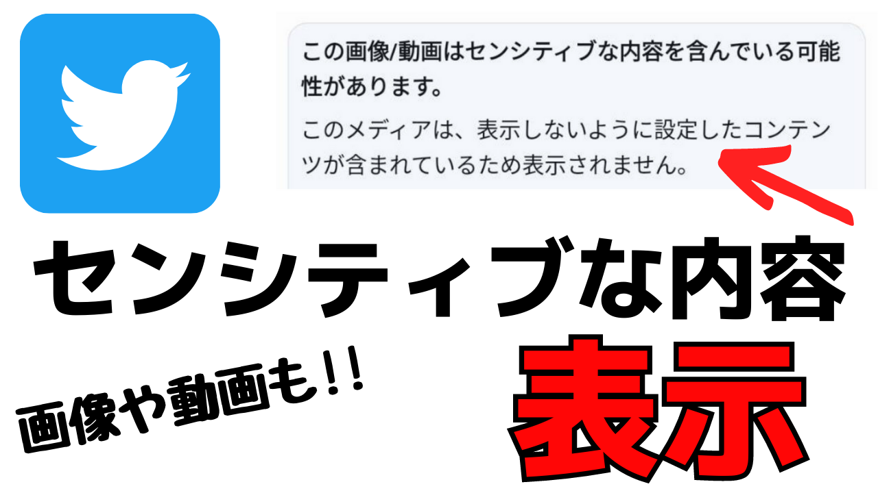 Twitter センシティブな内容 の画像や動画を見る方法 英語で表示される時の対処法とは おばあちゃんのためのスマホの教科書